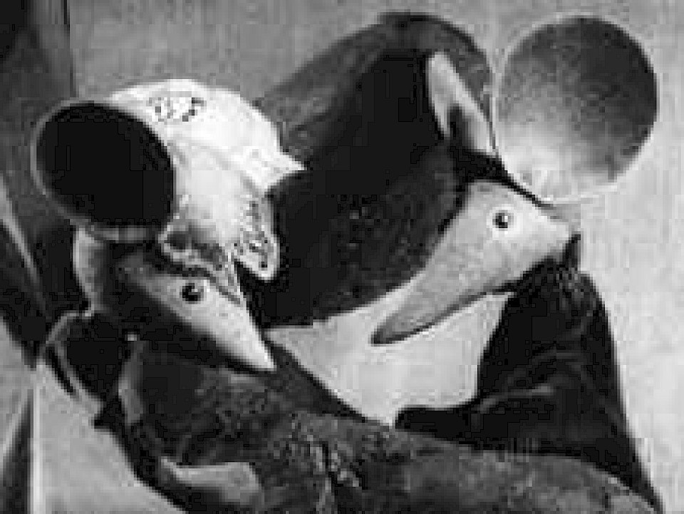 Toni und Clarissa - eine Mäusegeschichte