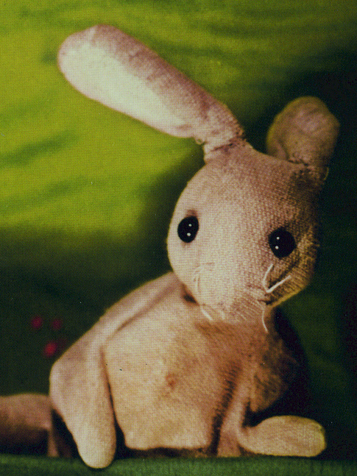 Der Hase Hopsi Topsi