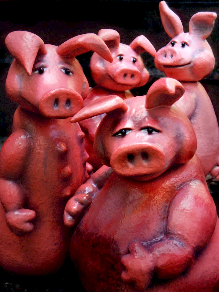 Die Schweinehochzeit