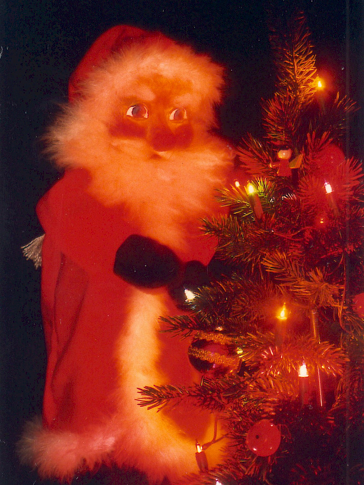 Kasper und der Weihnachtsmann