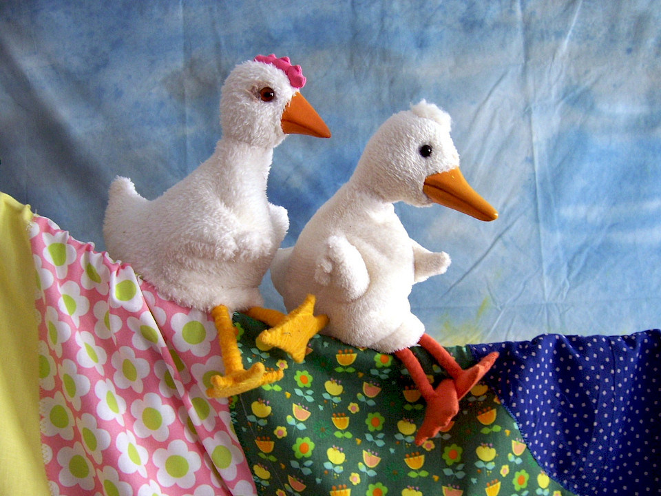 Hühnerei und Entengrütze