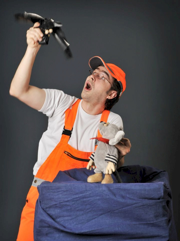 Die großen Abenteuer des kleinen Ritter Maus