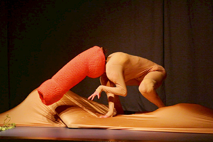 Altera Pars. Eine verstrickte Zergliederung in fünf Akten