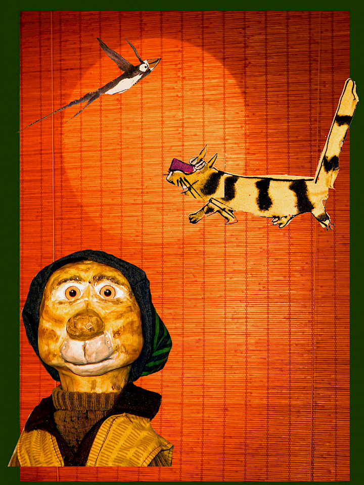 Der gestreifte Kater und die Schwalbe Sinhá