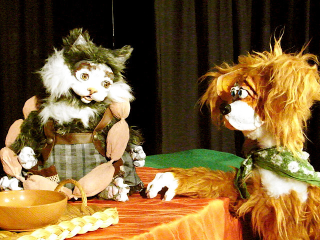 Szenenfoto: Katzenleben