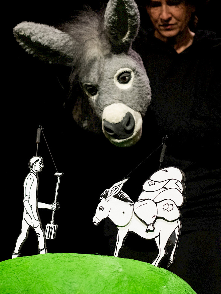 Rosa haut ab/ Roza farar mikonad