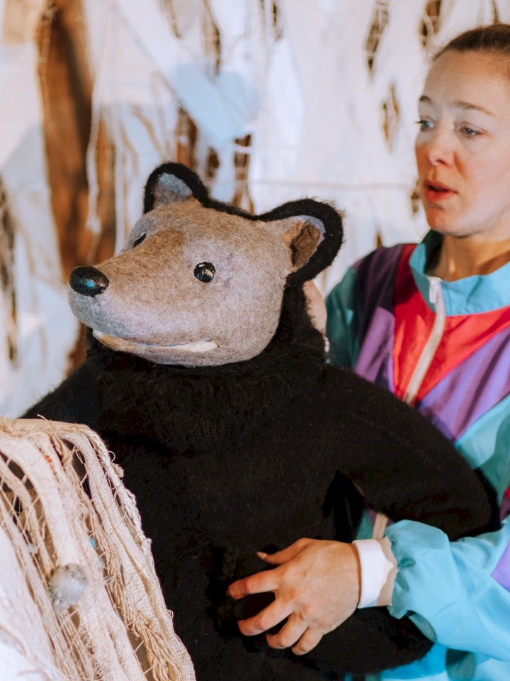 Der Bär, der nicht da war