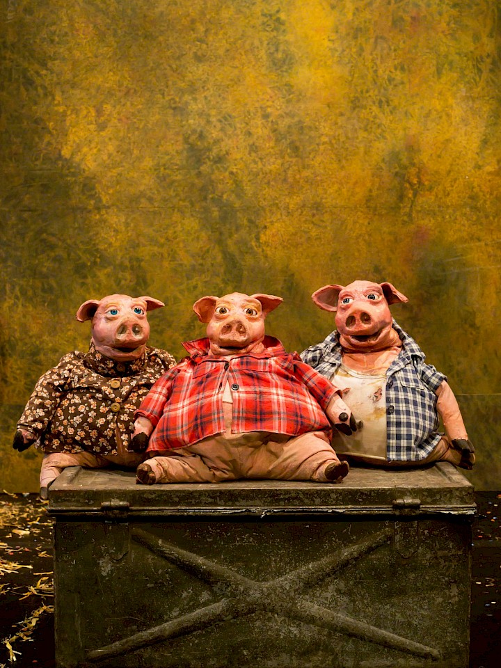 3 kleine Schweinchen