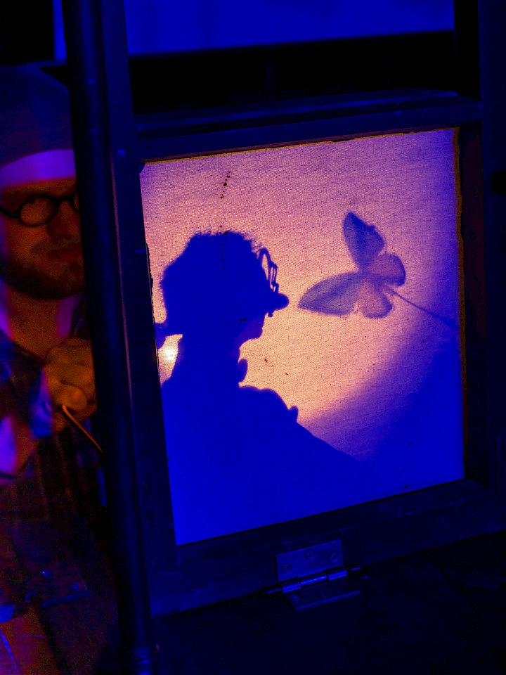 Die Werkstatt der Schmetterlinge