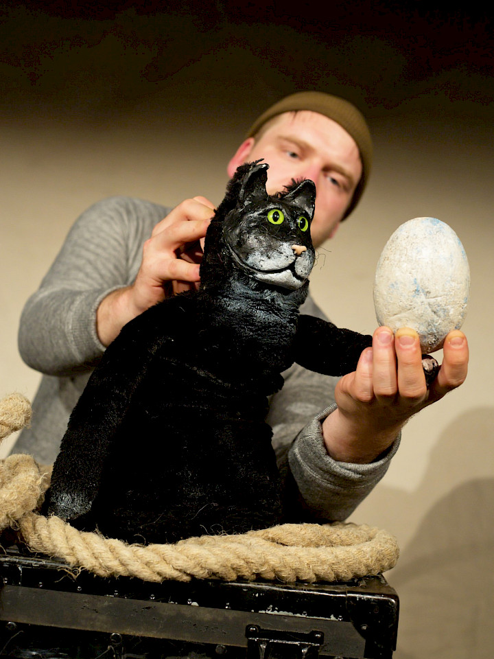 Wie Kater Zorbas der kleinen Möwe das Fliegen beibrachte