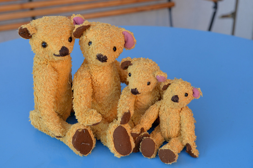 Ferien mit Paul Bär