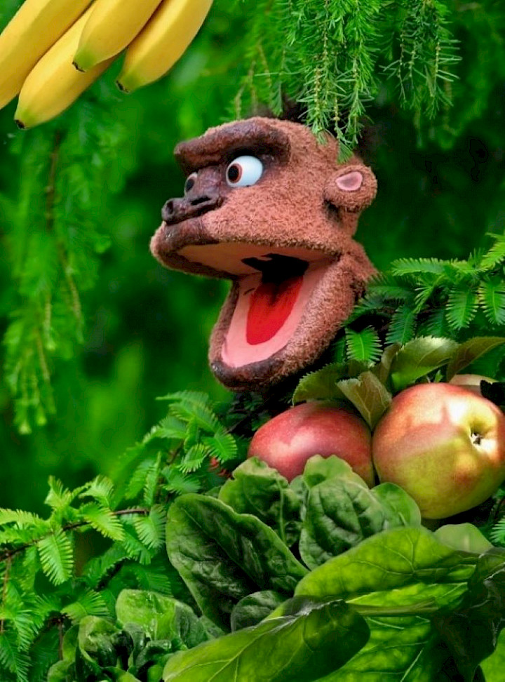 Willi und das Grün der Affen