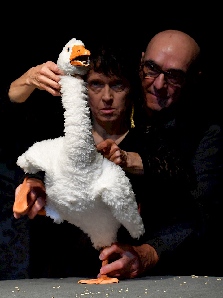 Die Weihnachtsgans Auguste