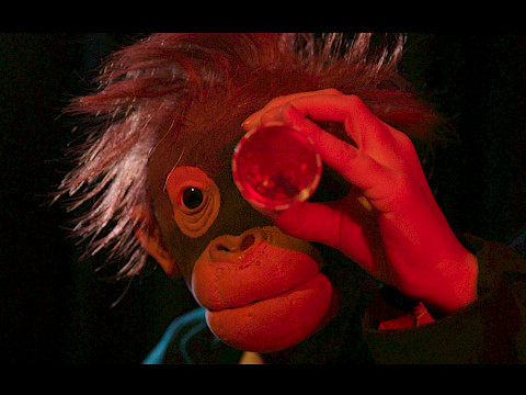 Film "RADIKAL DINGLICH" zum Welttag des Puppenspiels am 21.3.2026